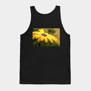 Osteospermum Sunny Asti Tank Top